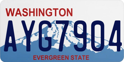 WA license plate AYG7904