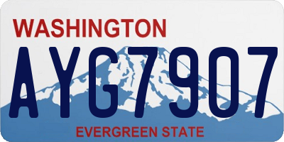 WA license plate AYG7907