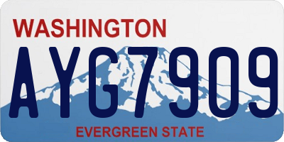 WA license plate AYG7909