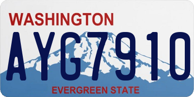 WA license plate AYG7910