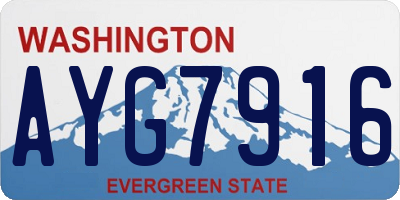 WA license plate AYG7916
