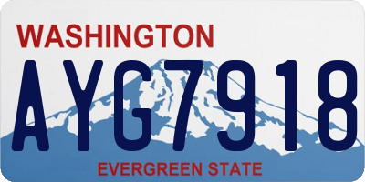 WA license plate AYG7918