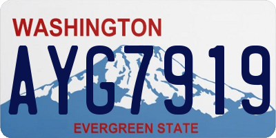WA license plate AYG7919