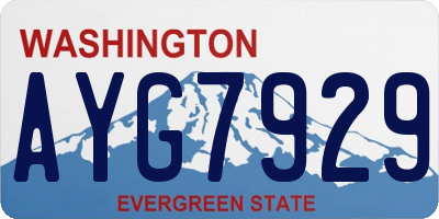 WA license plate AYG7929