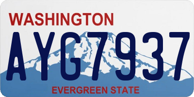 WA license plate AYG7937