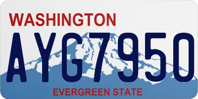 WA license plate AYG7950