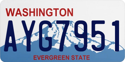 WA license plate AYG7951