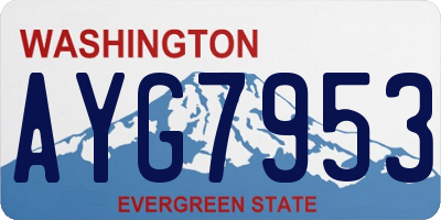 WA license plate AYG7953