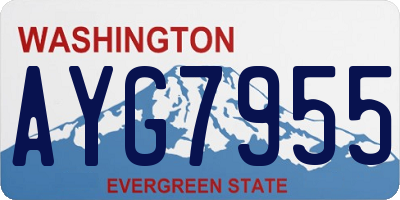 WA license plate AYG7955