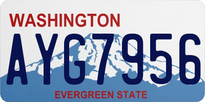 WA license plate AYG7956