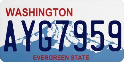 WA license plate AYG7959