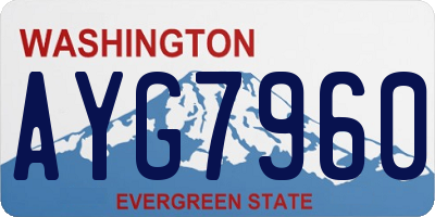 WA license plate AYG7960
