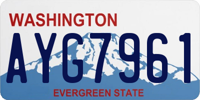 WA license plate AYG7961