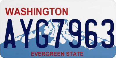 WA license plate AYG7963