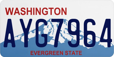 WA license plate AYG7964
