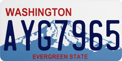 WA license plate AYG7965