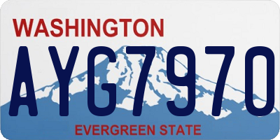 WA license plate AYG7970