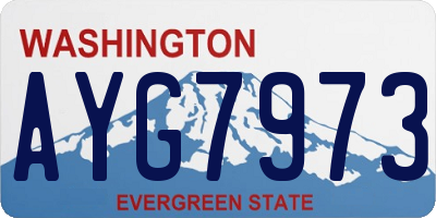 WA license plate AYG7973