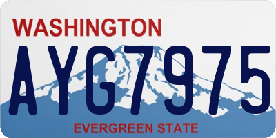 WA license plate AYG7975