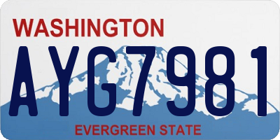 WA license plate AYG7981