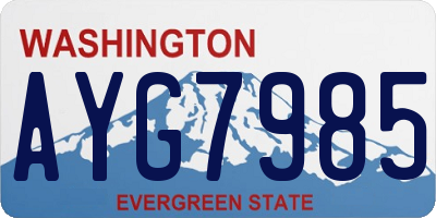 WA license plate AYG7985