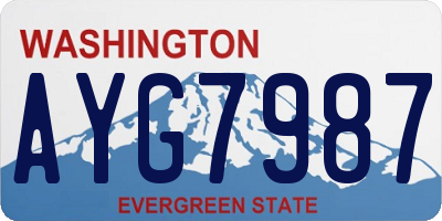 WA license plate AYG7987