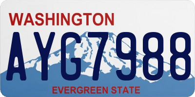 WA license plate AYG7988