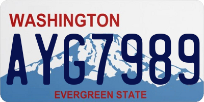 WA license plate AYG7989