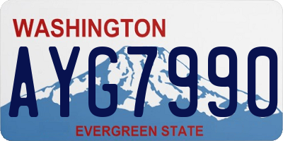 WA license plate AYG7990