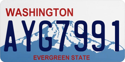 WA license plate AYG7991