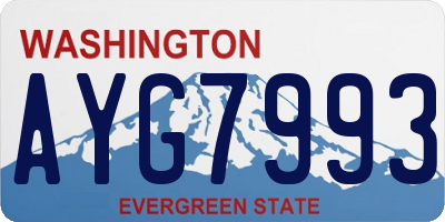 WA license plate AYG7993