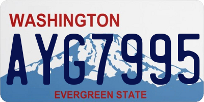 WA license plate AYG7995