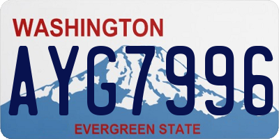 WA license plate AYG7996