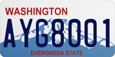 WA license plate AYG8001