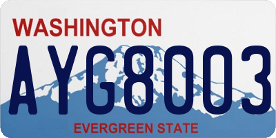 WA license plate AYG8003