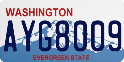 WA license plate AYG8009