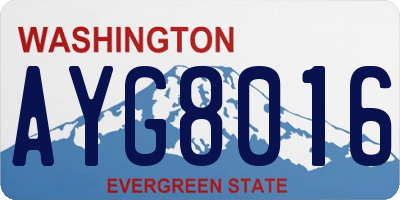 WA license plate AYG8016
