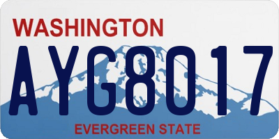 WA license plate AYG8017