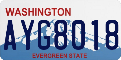 WA license plate AYG8018