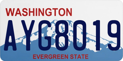 WA license plate AYG8019