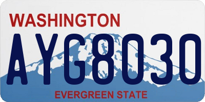 WA license plate AYG8030
