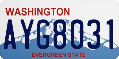 WA license plate AYG8031