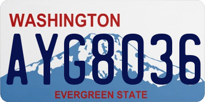 WA license plate AYG8036