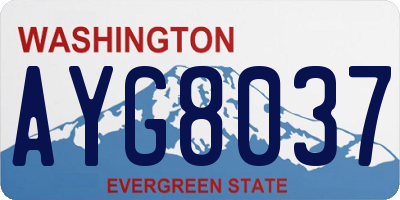 WA license plate AYG8037