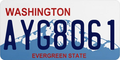 WA license plate AYG8061