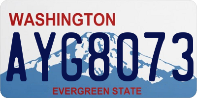 WA license plate AYG8073
