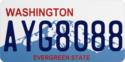 WA license plate AYG8088