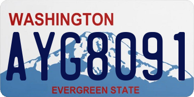 WA license plate AYG8091