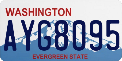 WA license plate AYG8095