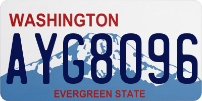 WA license plate AYG8096